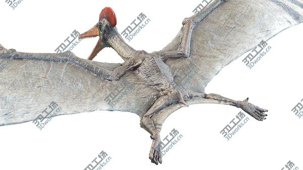 images/goods_img/20210312/3D model Pterodactyl/5.jpg